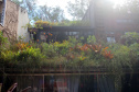 Plantas ornamentais: projeto investiga potencial da flora brasileira
