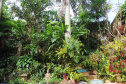 Plantas ornamentais: projeto investiga potencial da flora brasileira