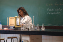 Professor