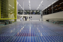 Sengi Solar