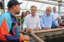 vISITA Alpha Fisch