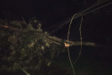 Copel trabalha para reestabelecer energia em locais atingidos por temporais- Região Vale do Ivaí - 