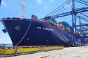 Porto de Paranaguá tem dez berços operando com calado maior e atrai navios cada vez maiores