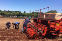 Parceria entre IDR-Paraná e Cocriagro traz smart farm como vitrine tecnológica  de soluções inovadoras para produtores rurais