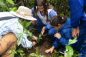 Paraná apresenta, na COP27, iniciativas voltadas à sustentabilidade