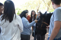 I Feira de profissões da UENP reúne mais de 3 mil estudantes