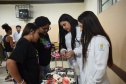 I Feira de profissões da UENP reúne mais de 3 mil estudantes