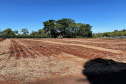Parceria entre IDR-Paraná e Cocriagro traz smart farm como vitrine tecnológica  de soluções inovadoras para produtores rurais