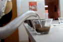 Melhor café do Paraná será conhecido quinta-feira, em Apucarana