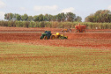 Plantio de soja no Paraná