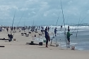Com apoio do Projeto Rio Vivo, torneios de pesca resultam em recursos aos municípios paranaenses
