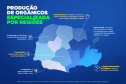 Líder nacional em produtores de orgânicos, Paraná investe para ampliar ainda mais o segmento