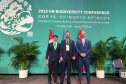 COP15: Paraná pode ser beneficiado com projetos para restauração da Mata Atlântica