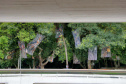 Museu Oscar Niemeyer leva arte para a área externa, num projeto inédito