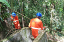 Obra de recuperação da BR-277 no Litoral entra na fase de contenção definitiva 