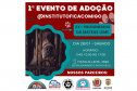 PCPR participa de evento de doação de cães que foram resgatados em Curitiba 