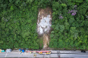 Obras BR-277