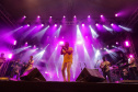 SHOWS
