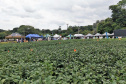 Com apoio do IDR, Smart Farm de Londrina reuniu inovações digitais do agronegócio