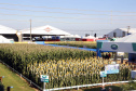 IDR-Paraná supera 200 mil atendimentos no Show Rural e fica ainda mais perto do produtor