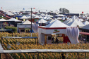 IDR-Paraná supera 200 mil atendimentos no Show Rural e fica ainda mais perto do produtor