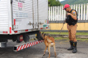 Cães da PRE
