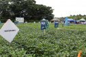Com apoio do IDR, Smart Farm de Londrina reuniu inovações digitais do agronegócio