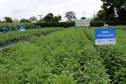 Com apoio do IDR, Smart Farm de Londrina reuniu inovações digitais do agronegócio
