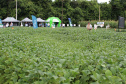 Com apoio do IDR, Smart Farm de Londrina reuniu inovações digitais do agronegócio
