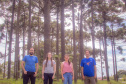 Grupo com professores da UEPG descobre registro rupestre inédito de araucárias