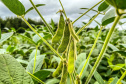 PARANÁ AGRO