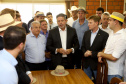 Paraná articula bloco com demais estados do Sul para proteção sanitária contra a gripe aviária