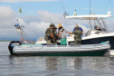 Pesca ilegal, desmatamento, animais em cativeiro: Força Verde atendeu 321 ocorrências na temporada