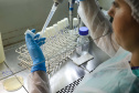 Dia Mundial da Mulher na Ciência: cientistas paranenses destacam desafios e conquistas