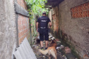 Operação das polícias Civil e Militar em Paranaguá mira grupo ligado a homicídios e tráfico