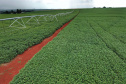 PARANÁ AGRO