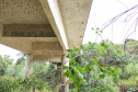 DER-Pontes Norte Pioneiro