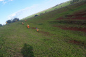 DER Peabiru-Campo Mourão