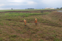 DER Peabiru-Campo Mourão