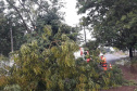 Temporais