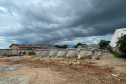 Viaduto BR-376 - São José dos Pinhais 