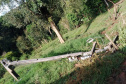 Área ruralde Nova Esperança do sudoeste