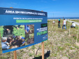 Projeto do IAT em parceria com a prefeitura de Pontal do Paraná recuperou uma área de 350 metros quadrados de restinga