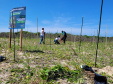 Projeto do IAT em parceria com a prefeitura de Pontal do Paraná recuperou uma área de 350 metros quadrados de restinga