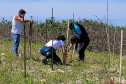 Projeto do IAT em parceria com a prefeitura de Pontal do Paraná recuperou uma área de 350 metros quadrados de restinga