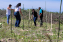 Projeto do IAT em parceria com a prefeitura de Pontal do Paraná recuperou uma área de 350 metros quadrados de restinga