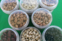 Vânia Moda Cirino é responsável técnica pelo desenvolvimento de mais de 38 cultivares de feijão, trabalho que contribui com os pequenos produtores e para a segurança alimentar da população. Na foto,  nova cultivares de feijão do IDR-Paraná foram destaque no Show Rural