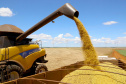 Paraná pode colher 20,9 milhões de toneladas de soja