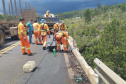 DER/PR recupera rapidamente quedas de barreiras em rodovia nos Campos Gerais