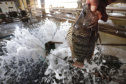 Paraná lidera produção e exportação nacional de carne de peixe
